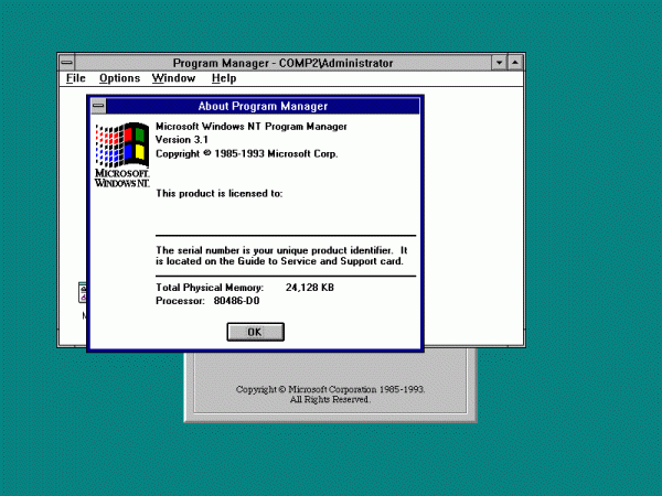 Windows 3.1